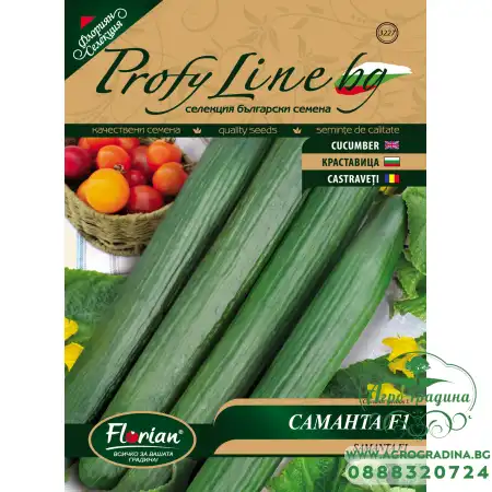 Краставици Саманта F1 - НОВ СОРТ