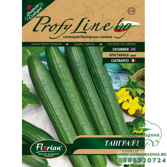 Краставици Тангра F1 - НОВ СОРТ