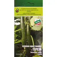 Краставици Тереза ИЗК Марица