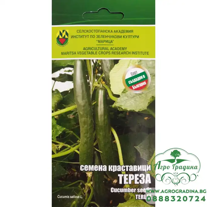 Краставици Тереза ИЗК Марица