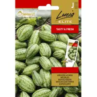 Мексиканска кисела краставичка Melothria scabra naudin