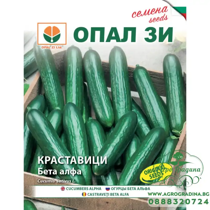 Краставици Бета Алфа