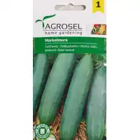 Краставици Маркетмор / Marketmore (тип тимор)