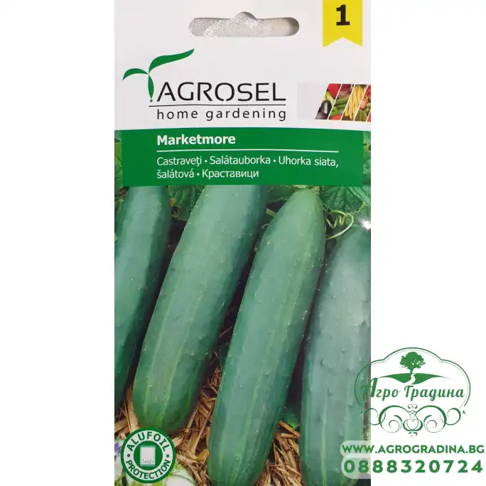 Краставици Маркетмор / Marketmore (тип тимор)