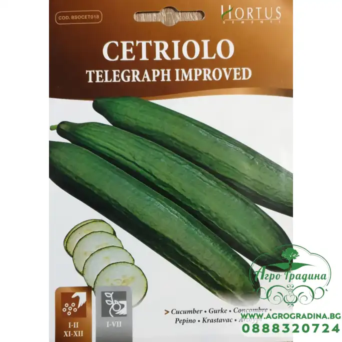 Краставици Телеграф Подобрени / Cetriolo Telegraph Improved