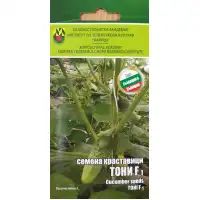 Краставици Тони F1 ИЗК Марица