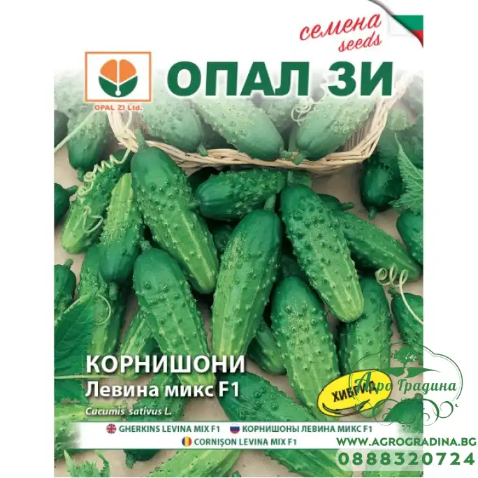 Корнишони Левина F1