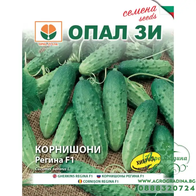 Корнишони Регина F1