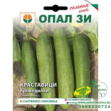 Краставици Крокодилки