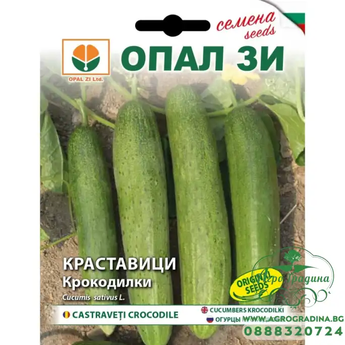 Краставици Крокодилки