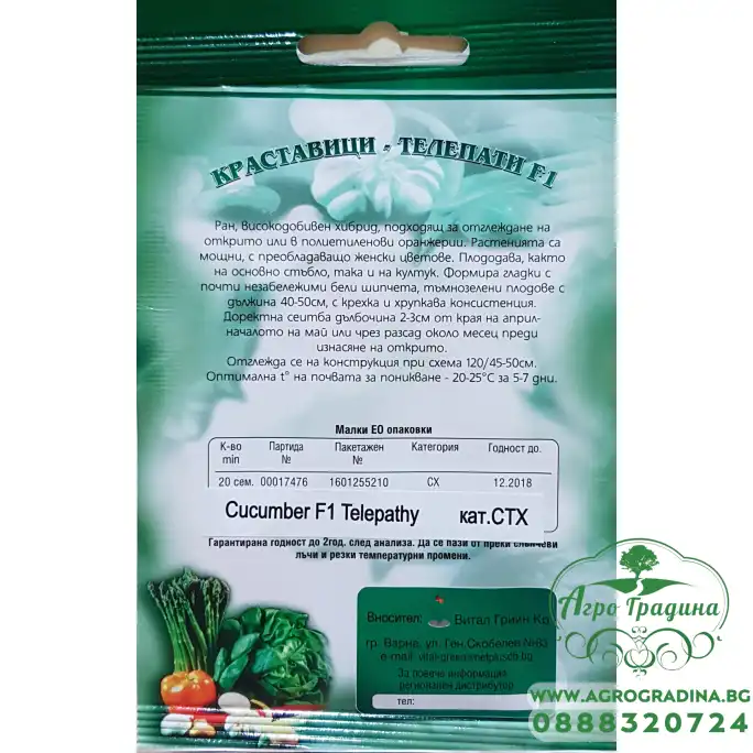 Краставици Телепати F1 Краставици Телепати F1