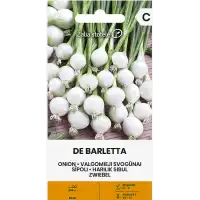 Лук Де Барлета Allium cepa L De Barletta