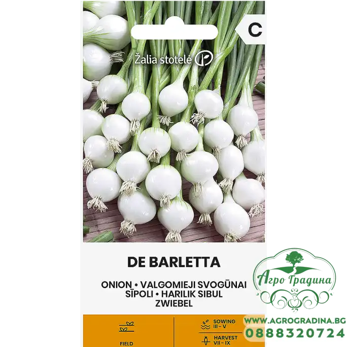 Лук Де Барлета Allium cepa L De Barletta Лук Де Барлета Allium cepa L De Barletta