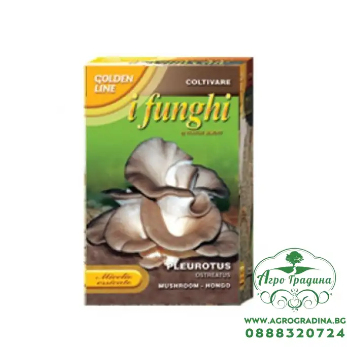 Мицел за Кладница (Pleurotus ostreatus) Мицел за Кладница (Pleurotus ostreatus)