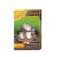 Мицел за Кладница (Pleurotus ostreatus)