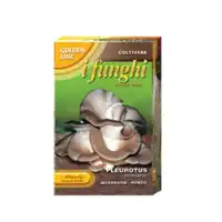 Мицел за Кладница (Pleurotus ostreatus)