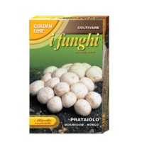 Мицел за печурки