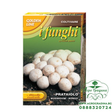 Мицел за печурки