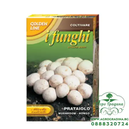 Мицел за печурки