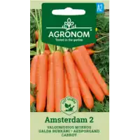 Моркови Aмстердам 2 Daucus carota L