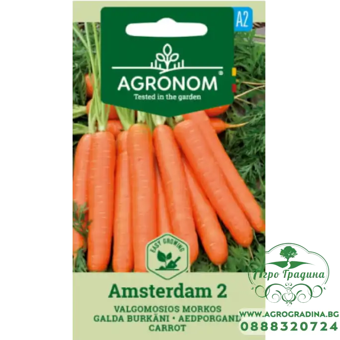 Моркови Aмстердам 2 / Daucus carota L.