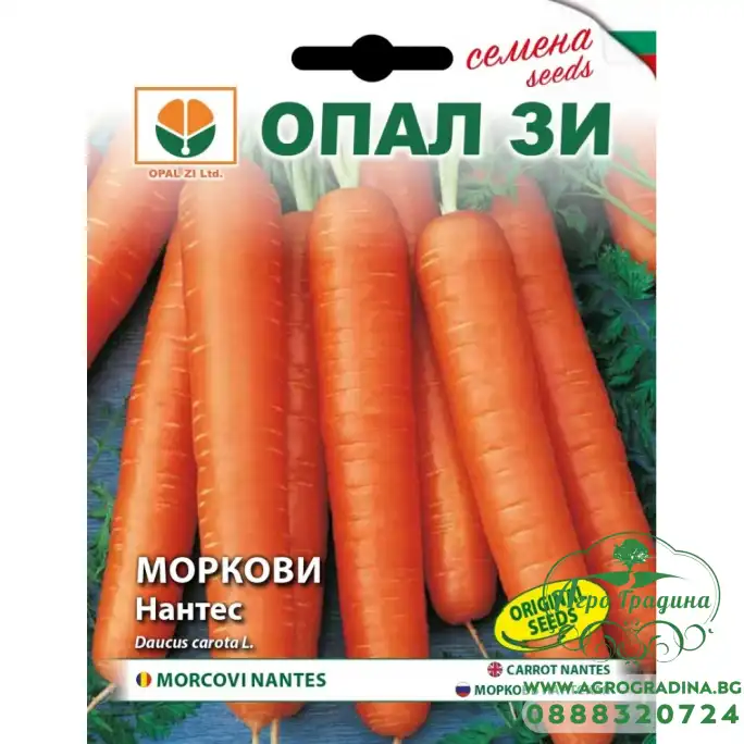Моркови Нантес