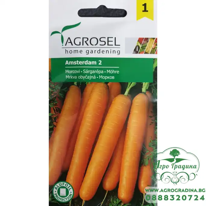 Моркови Амстердам