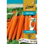 Моркови на Лента сорт Амстердам 2 / Amsterdam