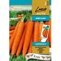 Моркови на Лента сорт Амстердам 2 / Amsterdam