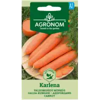 Моркови Карлена Daucus carota L.