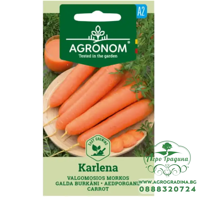Моркови Карлена / Daucus carota L.