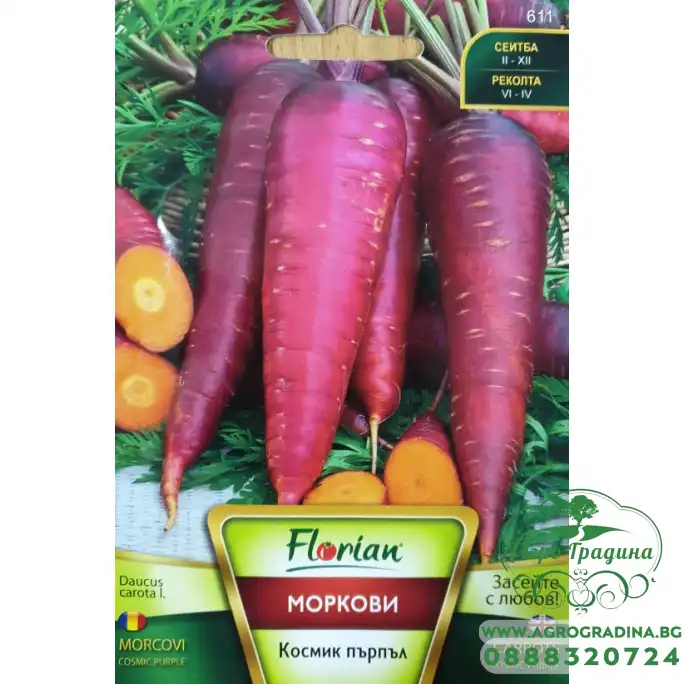 Моркови Космик Пърпъл - НОВ СОРТ