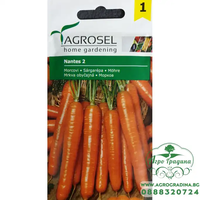 Моркови Нантес