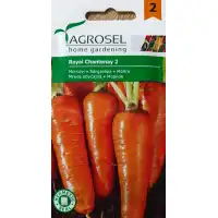 Моркови Роял Шантене