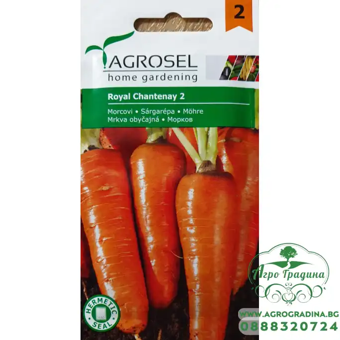 Моркови Роял Шантене