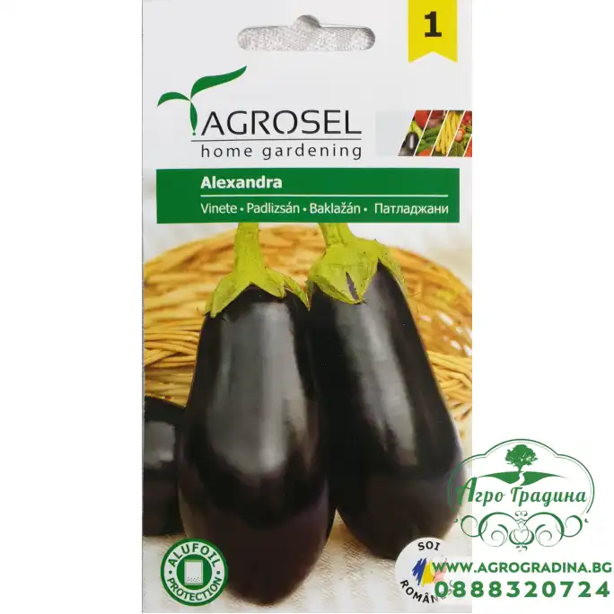 Патладжан Александра