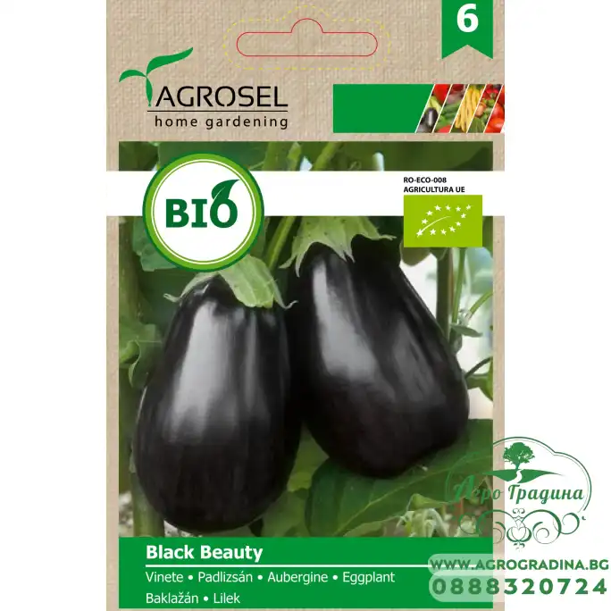 Био семена за Патладжан Блек Бюти