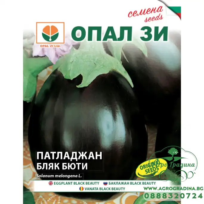 Патладжан Бляк Бюти