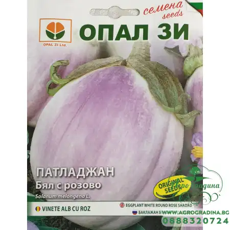 Патладжан Бял с розова сянка