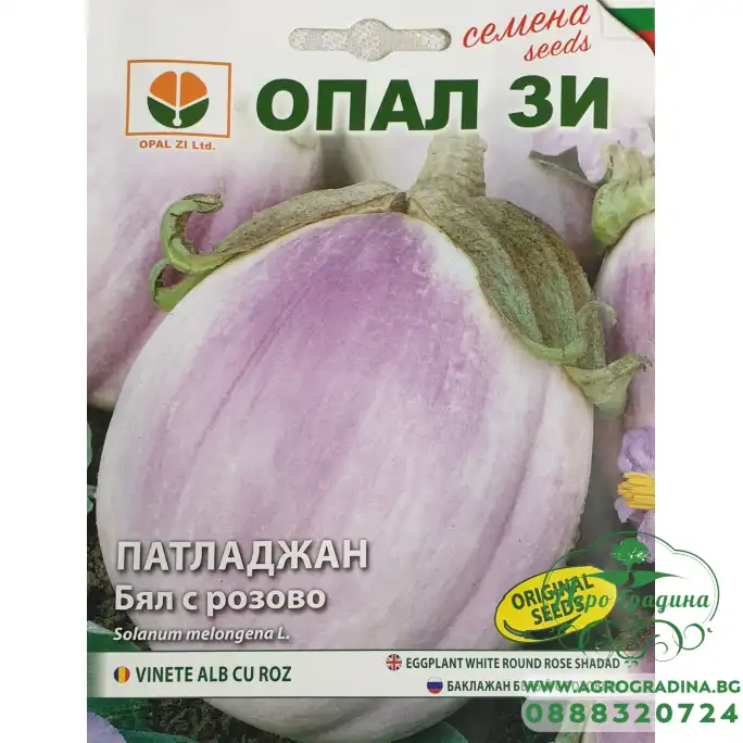 Патладжан Бял с розова сянка