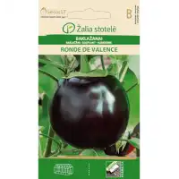 Патладжан Ронде Ди Валенсе Solanum melongena L