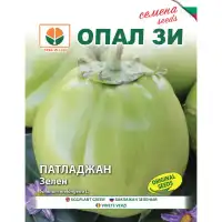 Патладжан Зелен сорт Успех