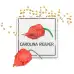 Семена Каролина Рийпър Carolina Reaper - най-лютата чушка в света! – Пипер