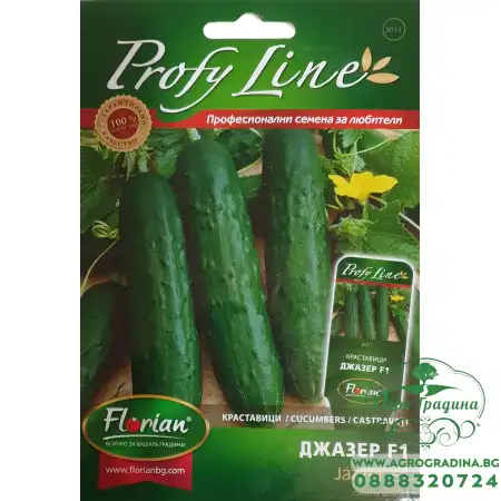 Краставици Джазер F1