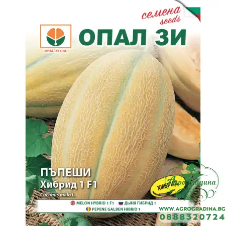 Пъпеш Хибрид 1