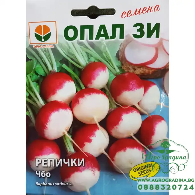 Репички ЧБО (червени с бели опашки)