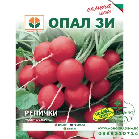 Репички червени кръгли