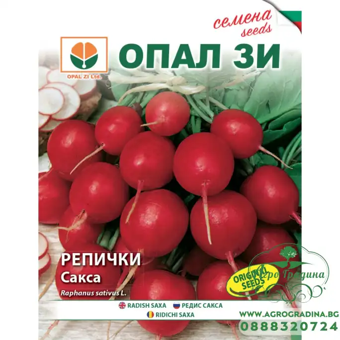 Репички Сакса