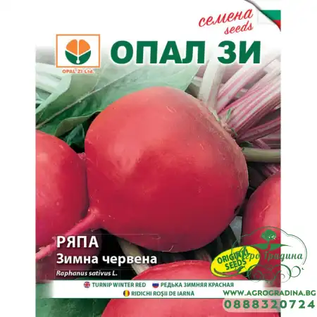 Ряпа Зимна Червена