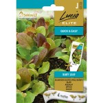 Семена на Лента за Микс Салати Бейби лийф / Lactuca sativa L Baby leaf